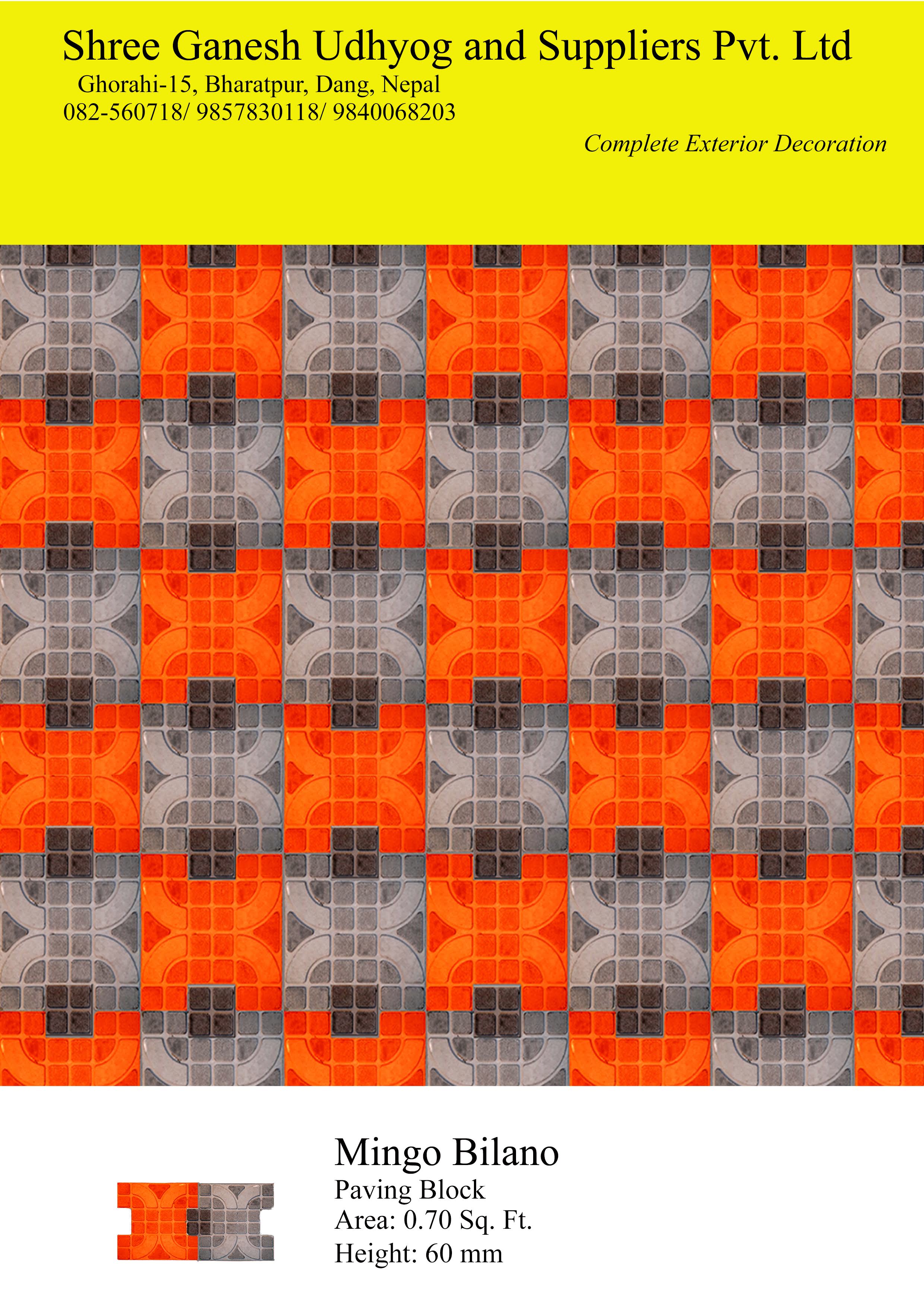 Textured Paver